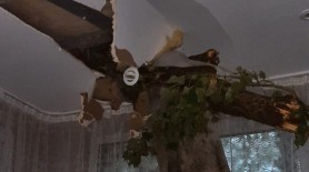 FOTO/VIDEO: Ghinion pentru o familie din capitală. Un copac a spart tavanul unei case